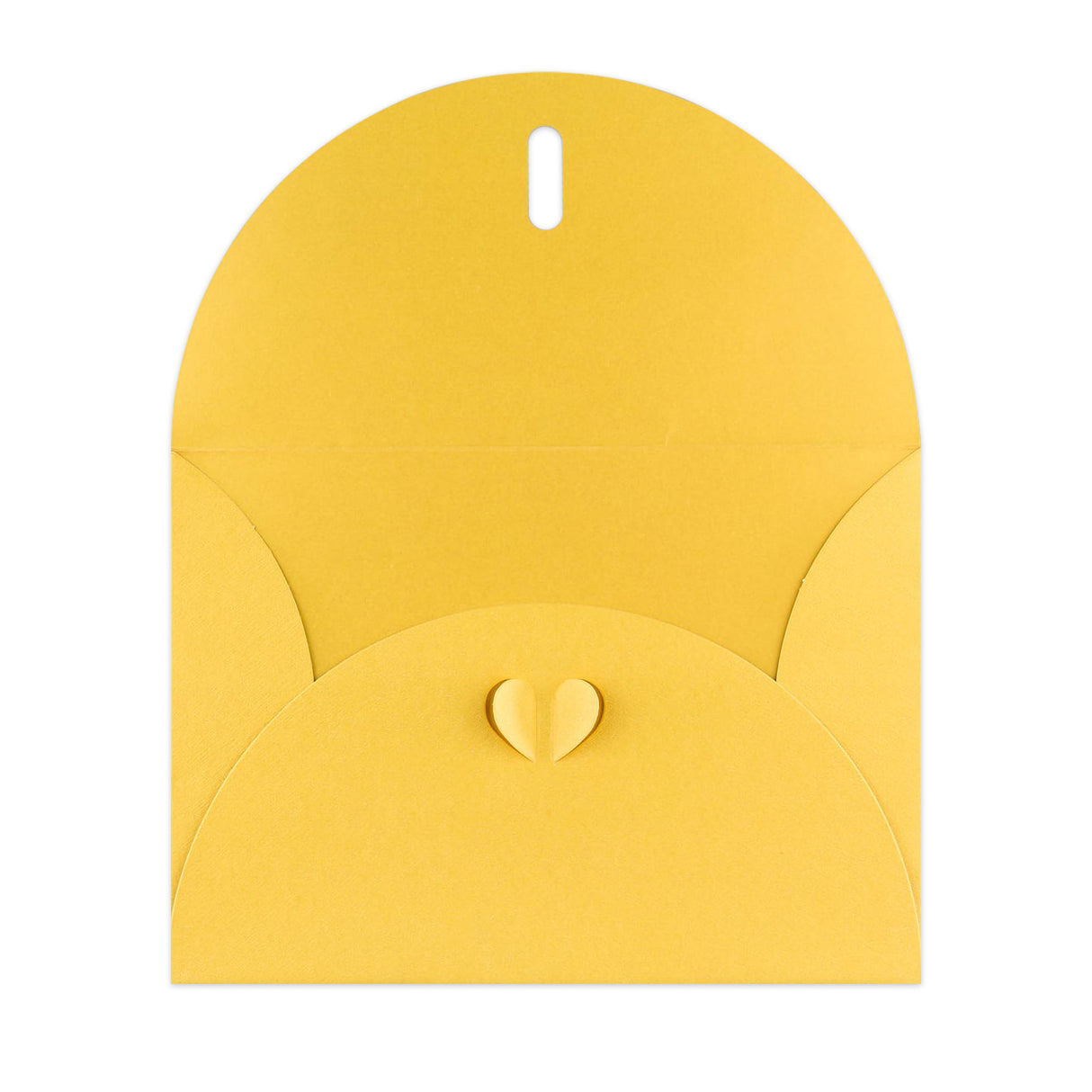 Omotnice s leptirima