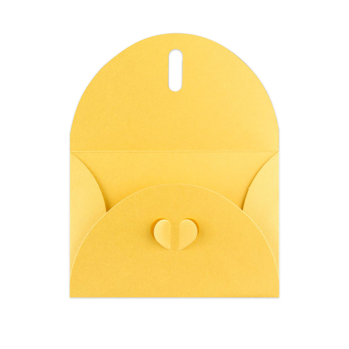 Omotnice s leptirima