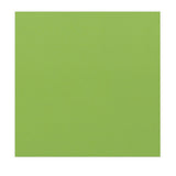 Srednje zelene 155mm kvadratne omotnice za koru i brtvljenje 120 g/m2